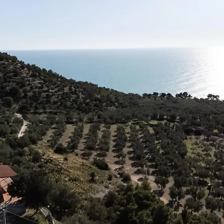 Villa Torre Di Lupo- Manfredi Homes&Villas Mattinata Exterior foto