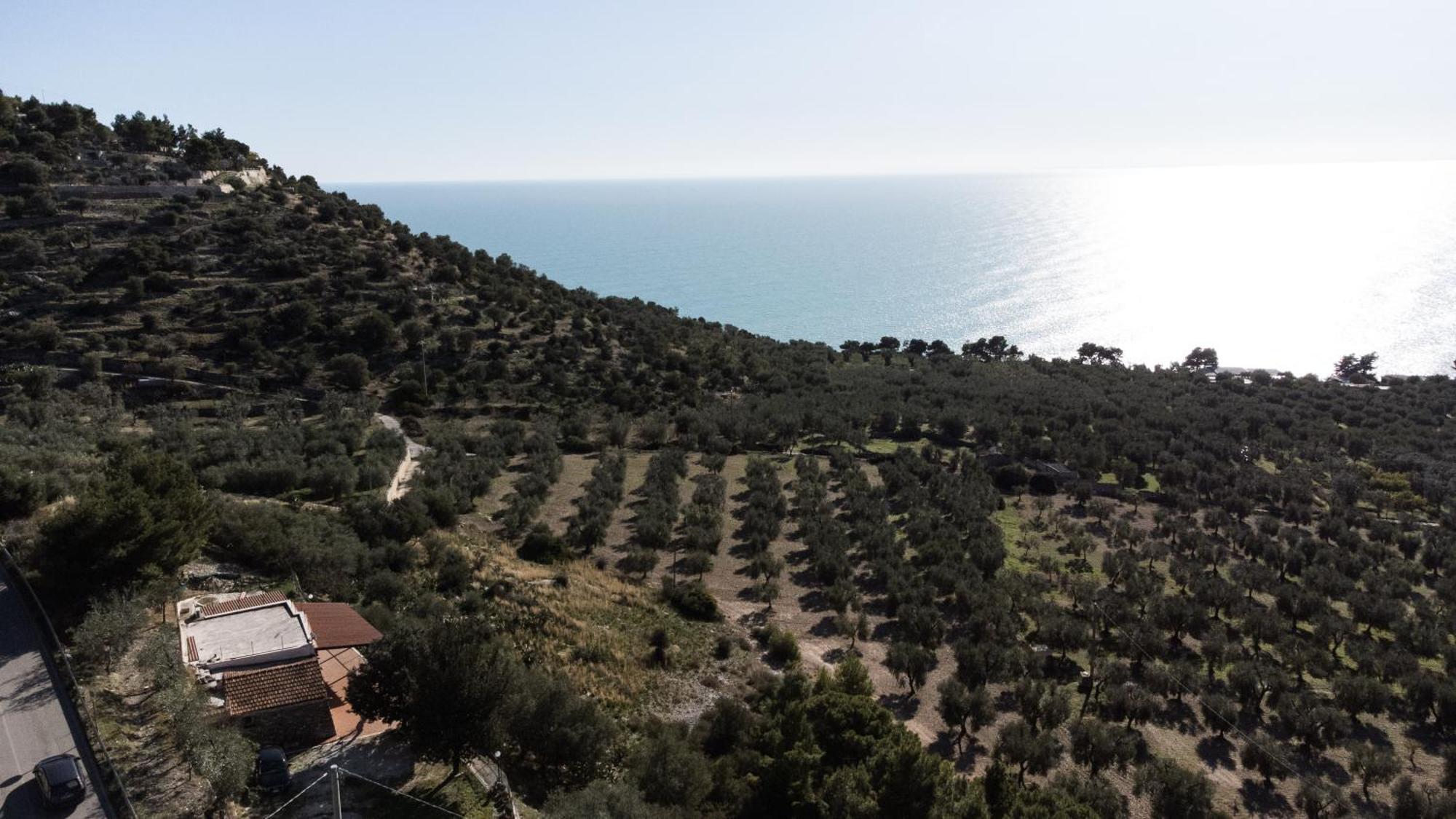 Torre Di Lupo- Manfredi Homes&villas Villa Mattinata